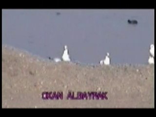 OKAN ALBAYRAK (Henüz 12 Yaşında)