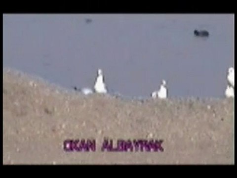 OKAN ALBAYRAK (Henüz 12 Yaşında)