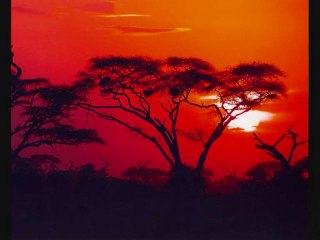 MADRE EN LA PUERTA HAY UN NIÑO - LADY HAGUA.