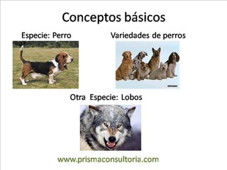 E22 El numeral 7.3 Diseño y desarrollo en la norma ISO 9001