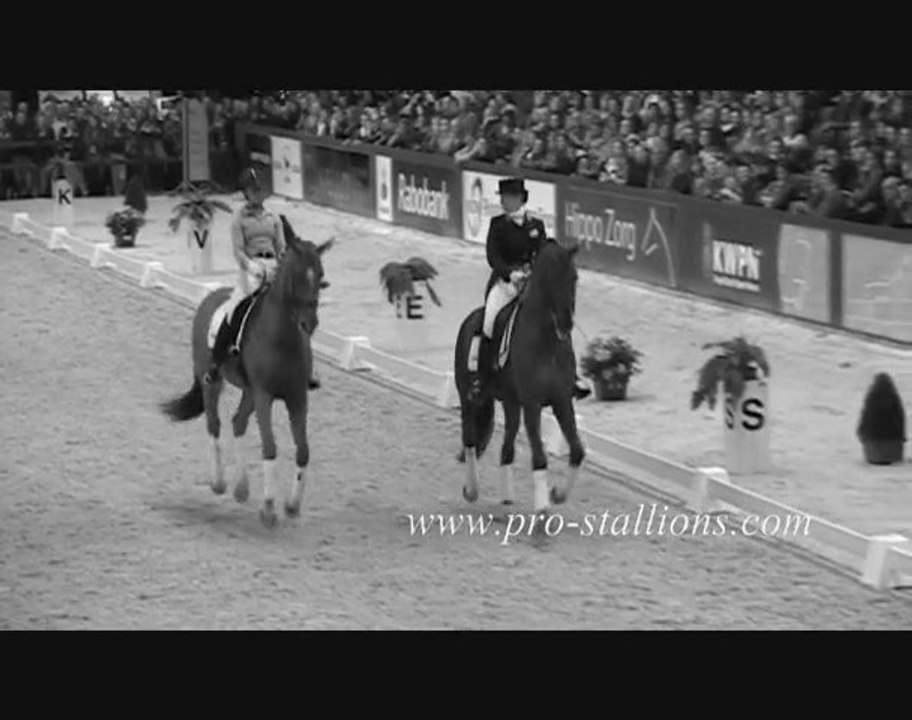 Equitation. Passion.