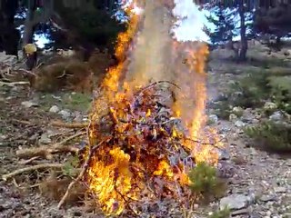 GÜZELYURT KÖYÜ  SULUDERE MAHHALESİ