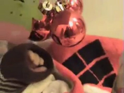 201002 JO AU CHANGE, ELLIOTT TWISTE 2 ET MAMAN TORTUE 2