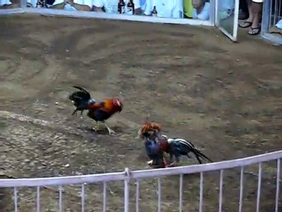 Combat 1