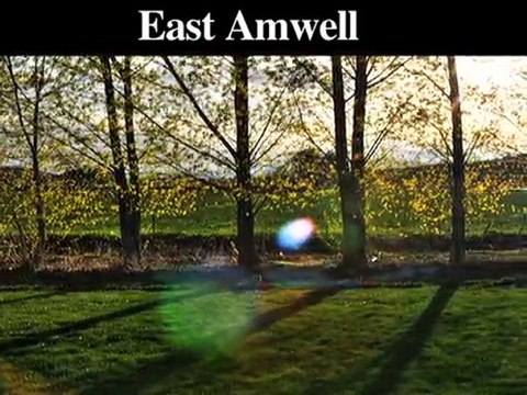 Emergency Tree Removal Service |Trenton-Ewing-Lambertville,