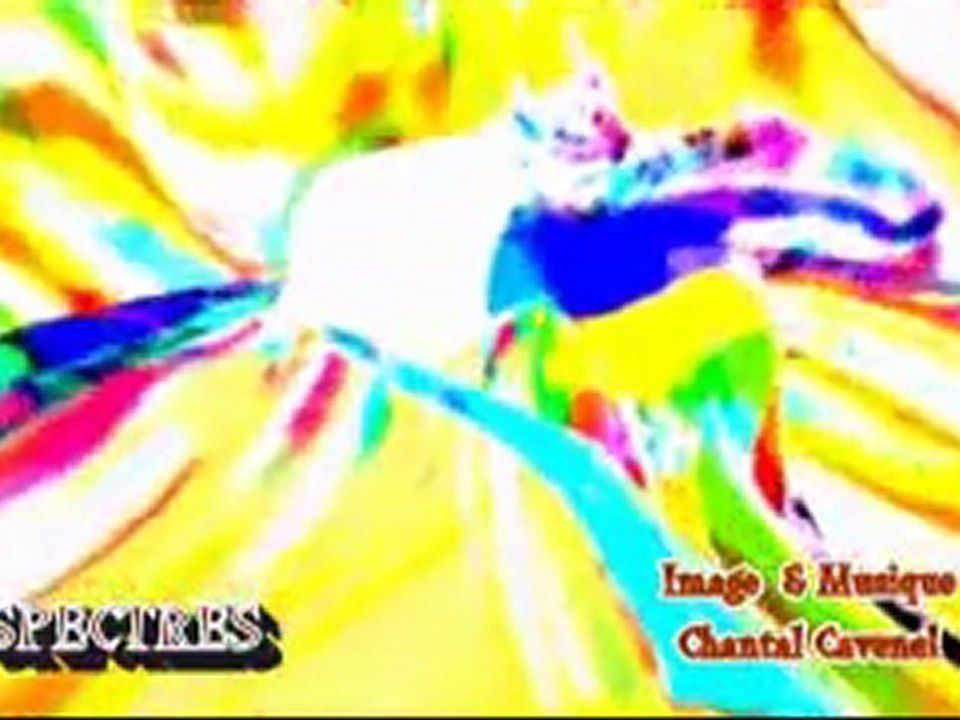 MUSICAL MOVING PAINTINGS for demo de Chantal Cavenel