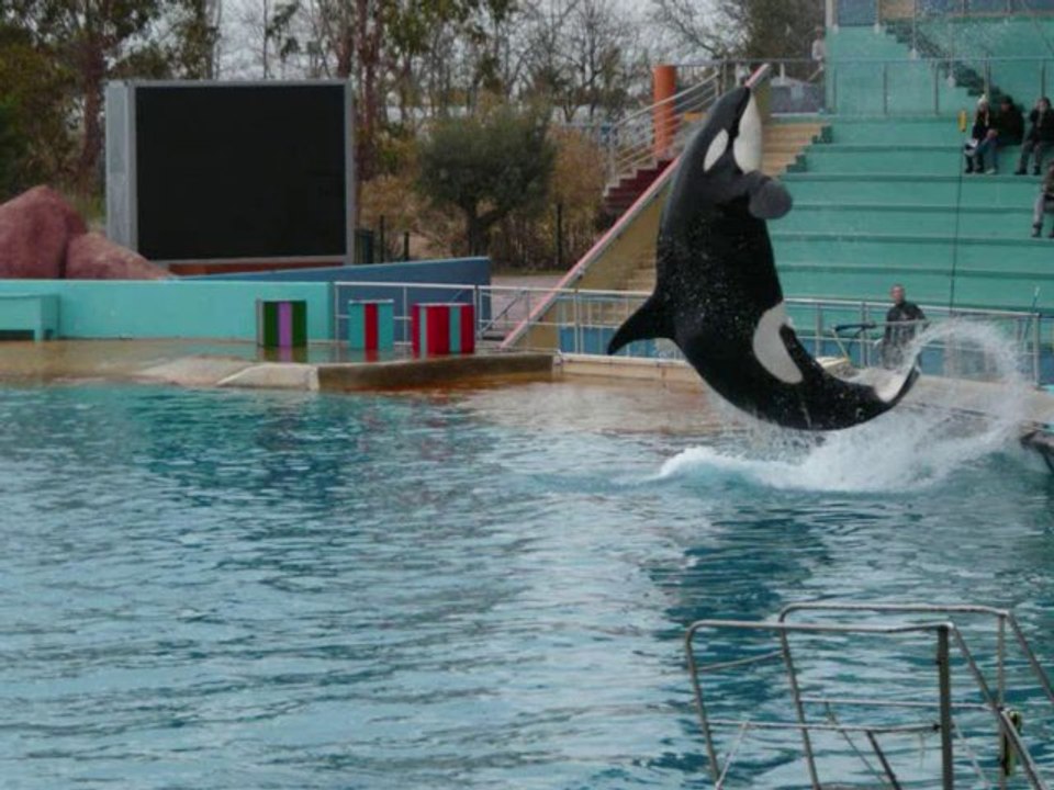 marineland