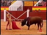 Raul VELASCO en Herrencia - toros de Alcurrucén  - Faena 1