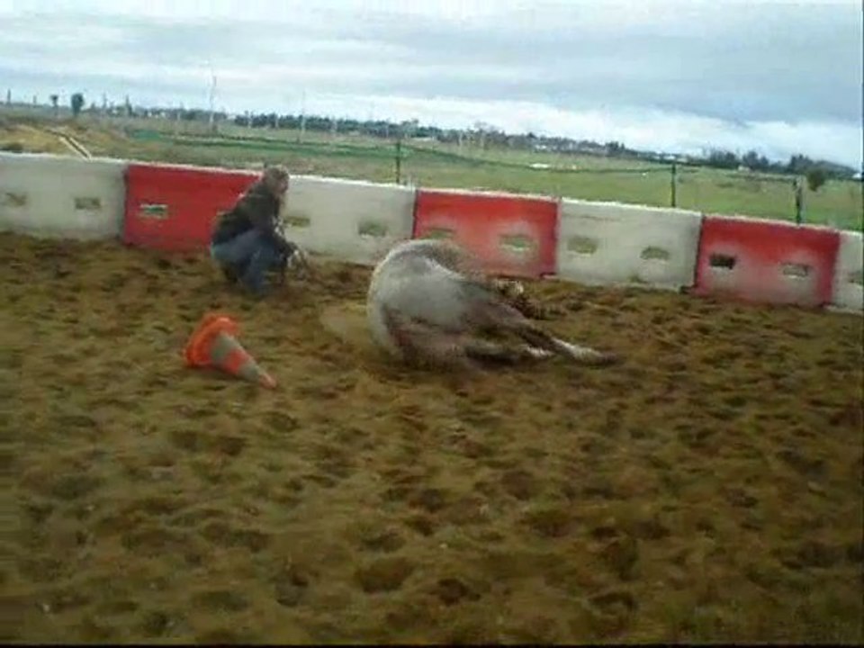 Mois de décembre avec mon Fafa !