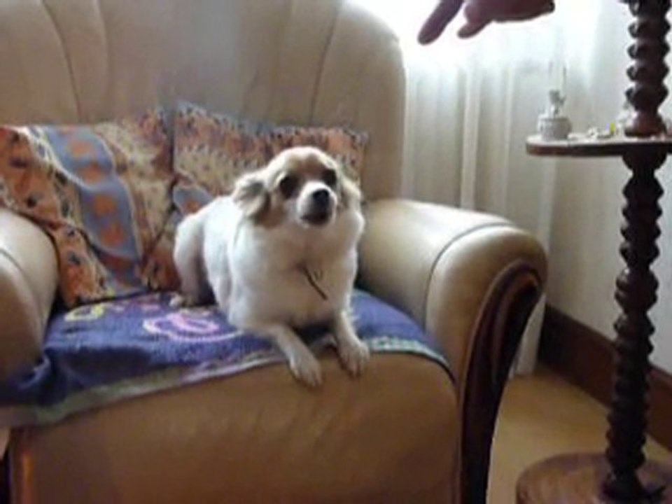 Vénus film