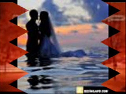 ENES MUTLU - AĞUSTOS BÖCEĞİM