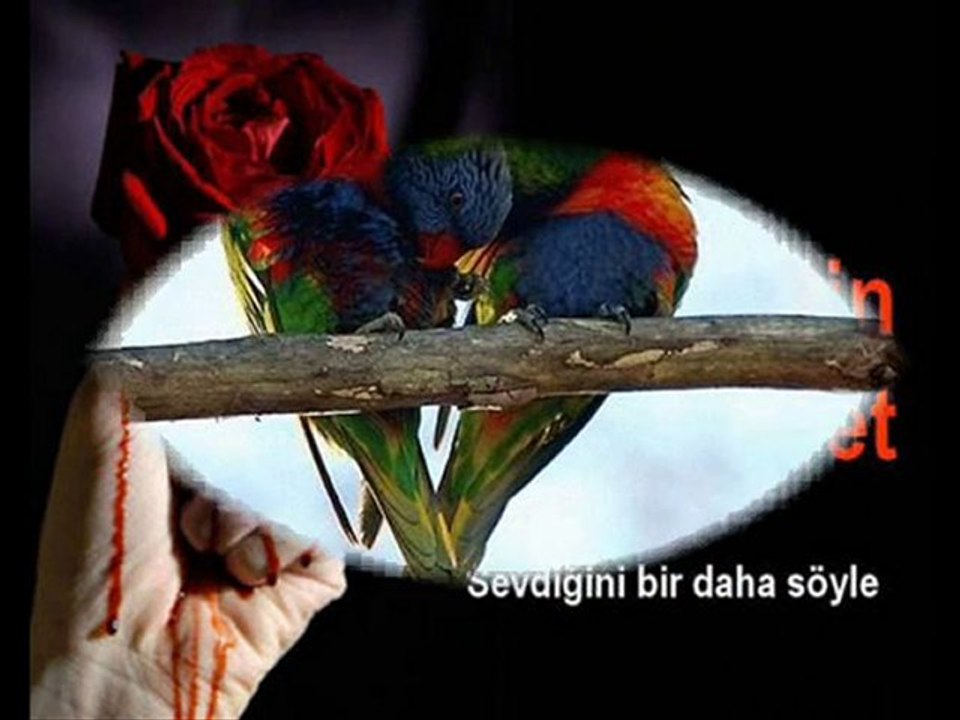 ENES MUTLU - SEVMEK KOLAY MI?