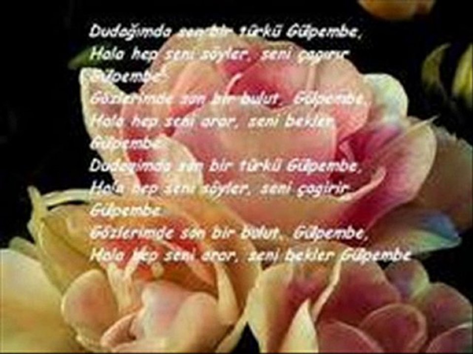 ENES MUTLU - GÜLPEMBE