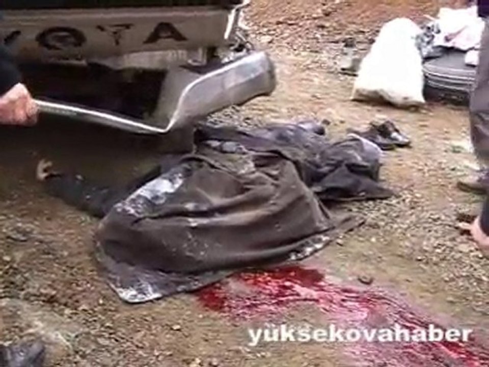 şemdinli'de trafik kazası