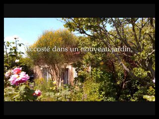 Très Belle Année 2011!    v2