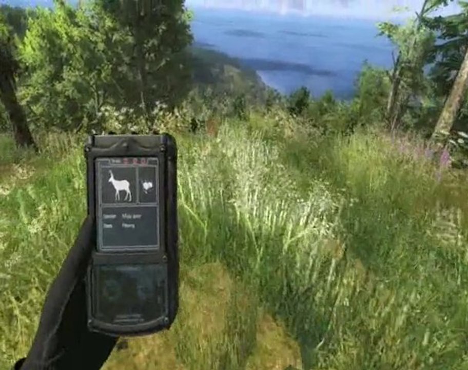 The Hunter