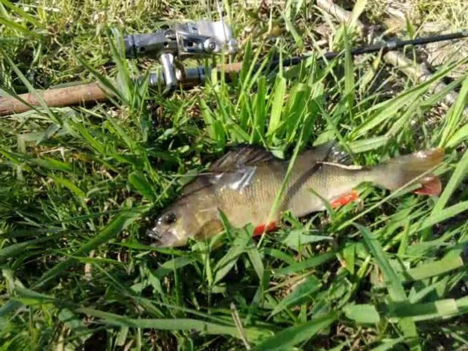 Mon film saison de peche 2010 (2)