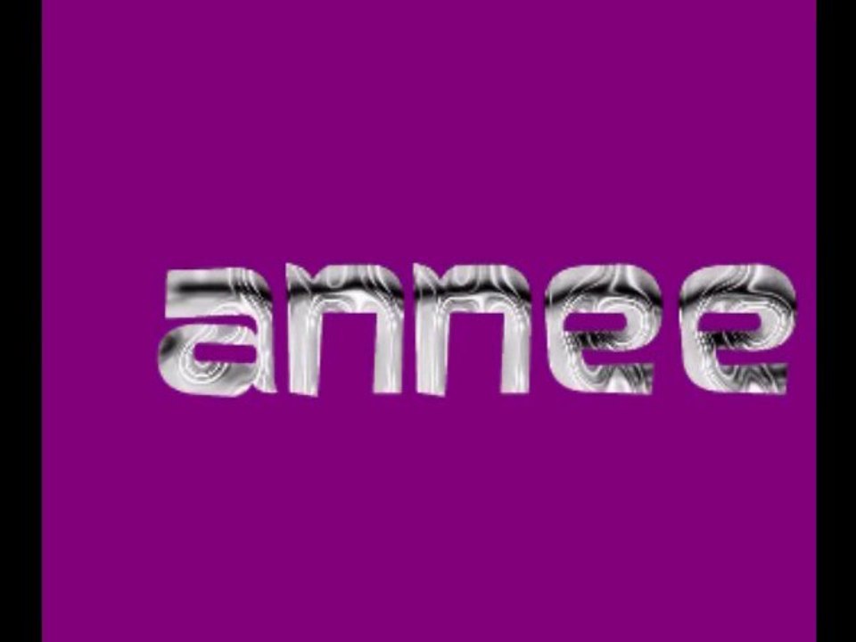 BONNE ANNEE 2011
