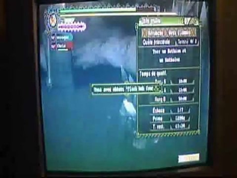 MH3 partie aréne (duo ian los)