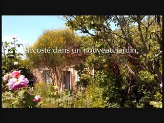 Très Belle Année 2011!   v2