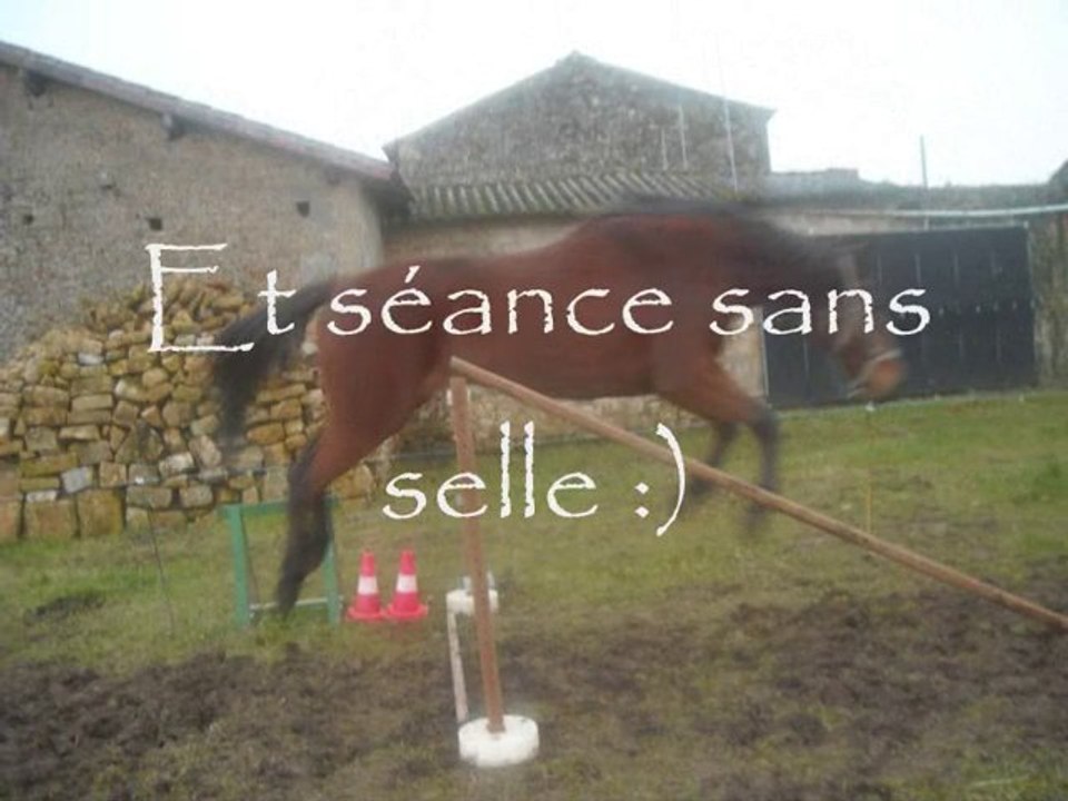 Vacance de Noel 2010