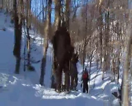 Ballade en raquettes