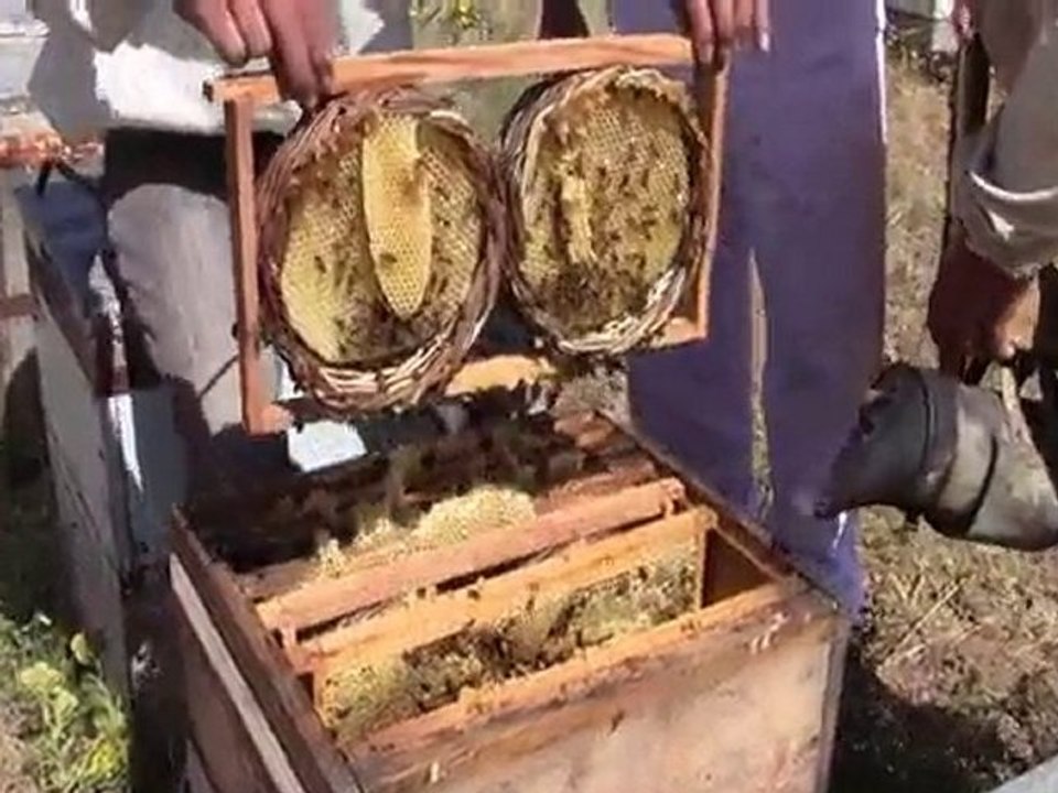 ariş bal karakovan sepet bal