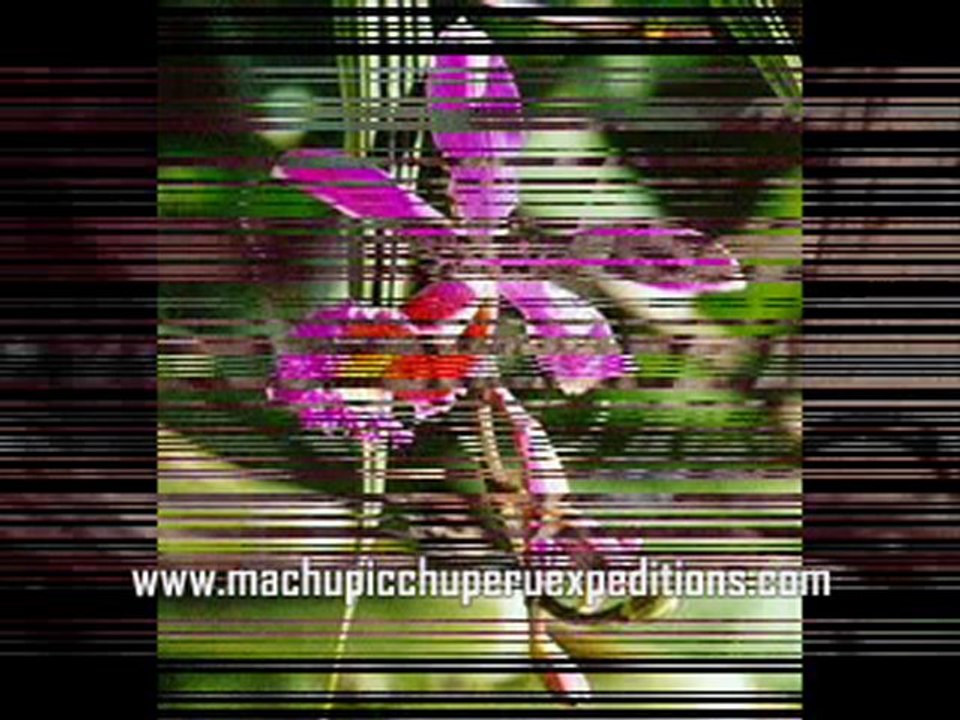 Cuzco to Machu picchu Peru travel