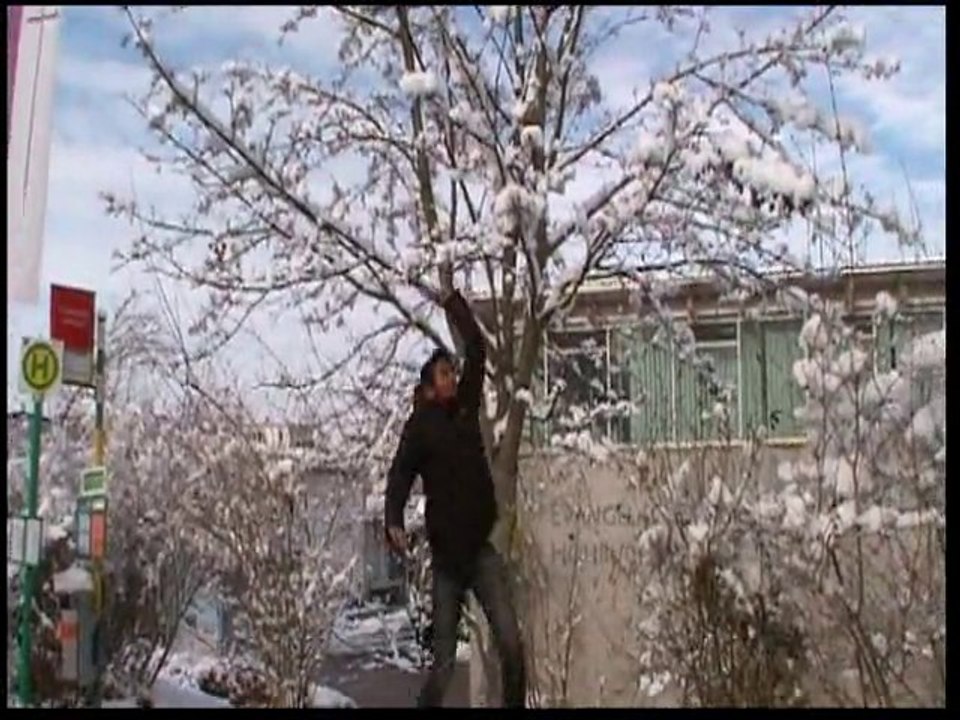 snow