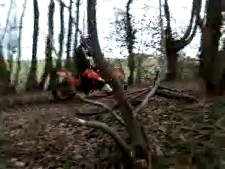 85 sx