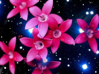 L'ange au regard tendre - Poésie