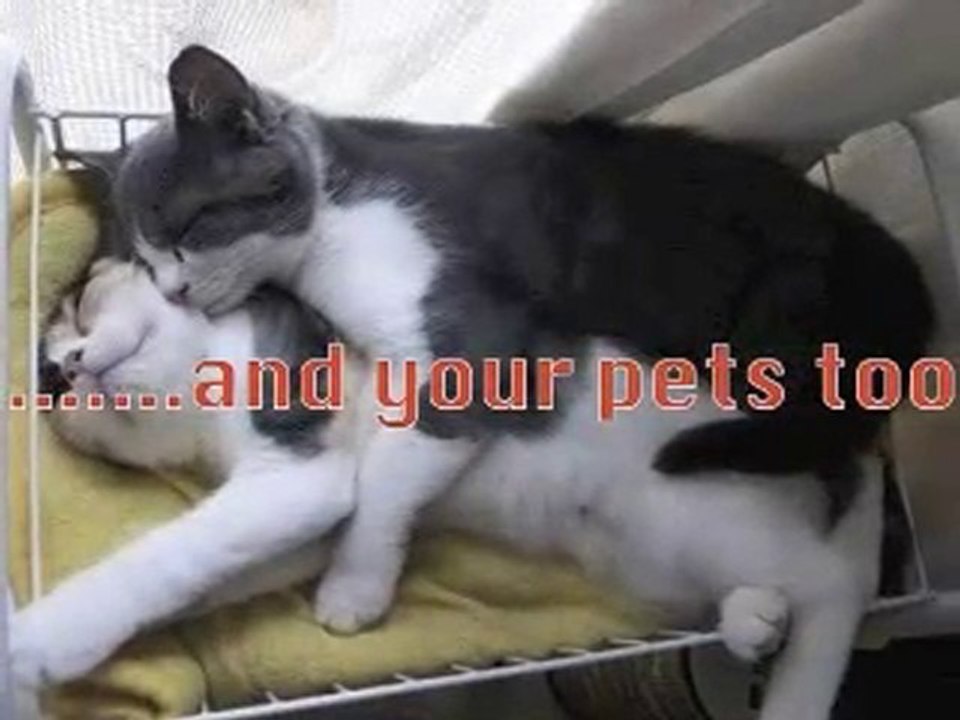 Seattle Heating Oil / 206-938-5710 / Best Heating Oil Price