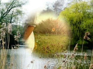 Metin ŞENTÜRK - Bahar Geçti