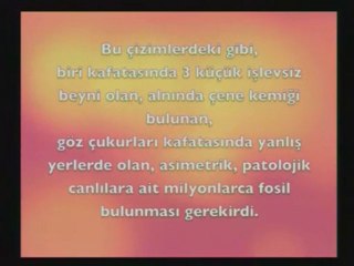 Evrimcilerin Ara Geçiş Formu Aldatmacası