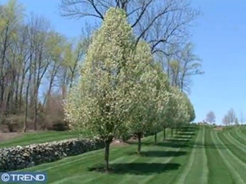 Homes for Sale - 6 & 8 White Horse Meadows - Malvern, PA 19355-8773 - John Dubbs