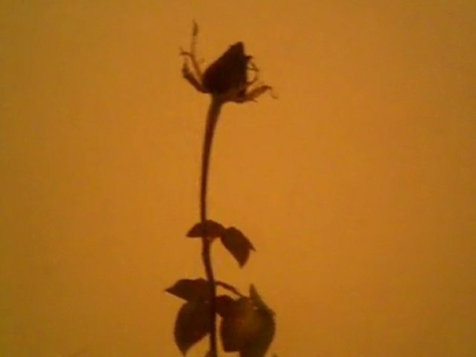 ALİ KINIK BİLDİGİN GİBİ DEGİL ===>>MaHFuZ