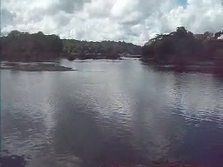 saut Maripa