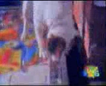 Cascade animaux Video drole Humour humour Alibabsurf !