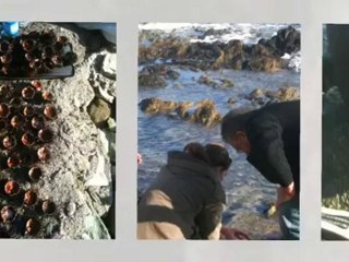 1er jour de l'Année 2011