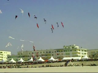 Berck -kites dance / 2010 festival