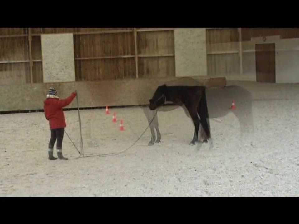 6 mois au Haras Naturel du Plessis