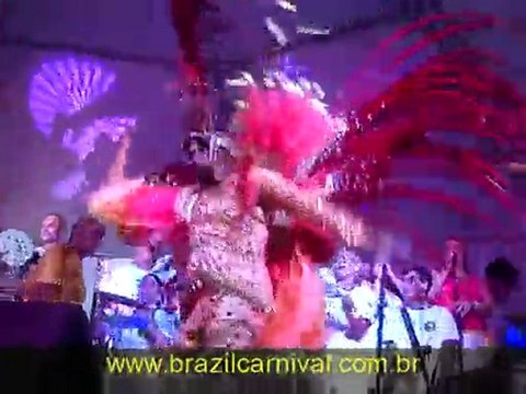 Feathered costumes: Sao Clemente 2011 Brazil Carnival
