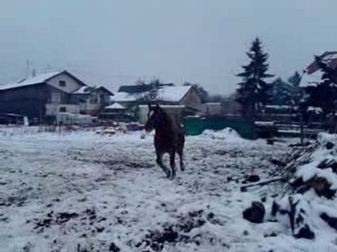 Salim à la longe obstacle :)
