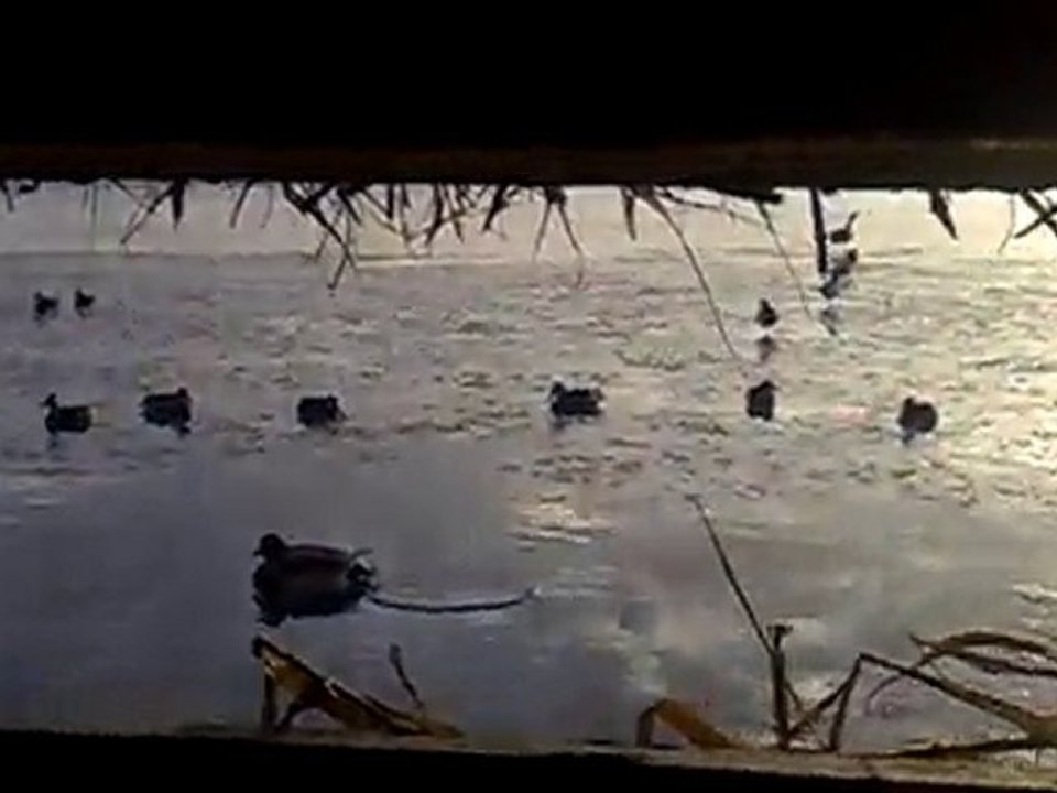28122010008