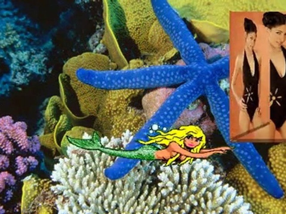 Bleu Bayou -- Andre Rieu