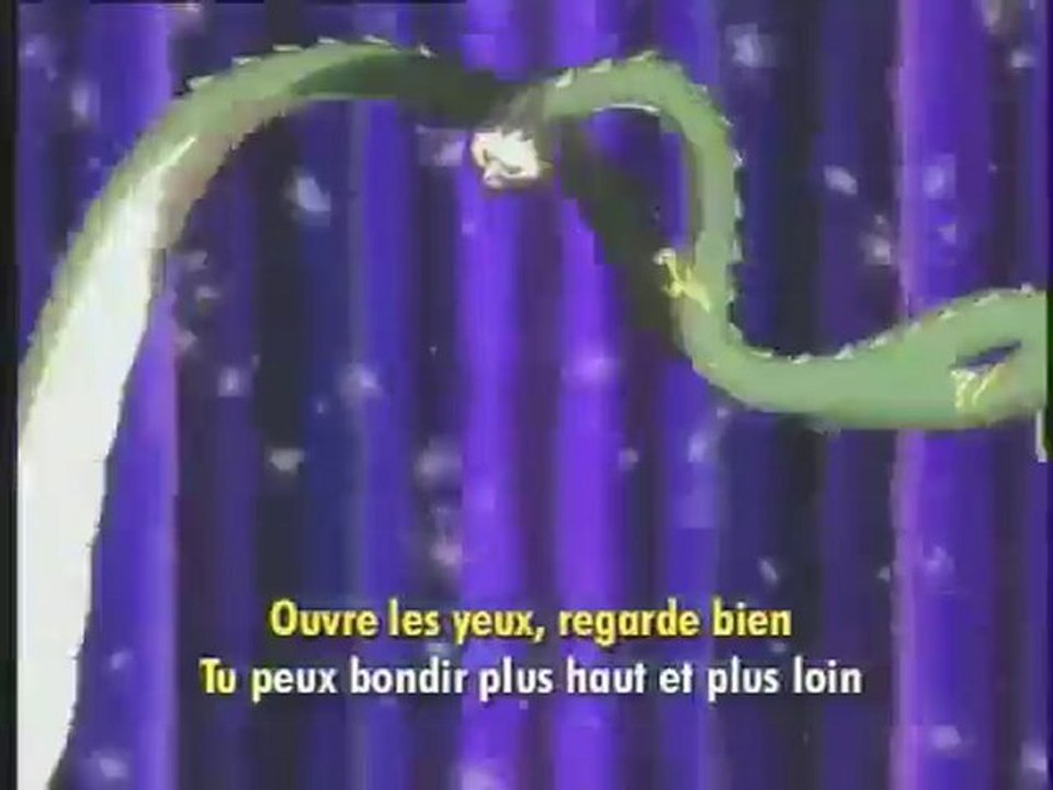 Shaman King Op Francais