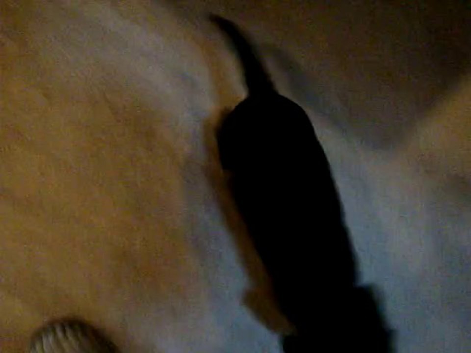 bébés_dèvou_clara_02..01.11 012