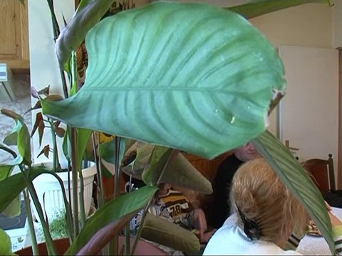 PRO BG Историите на Роси и Ани - 03.11.2009 г.