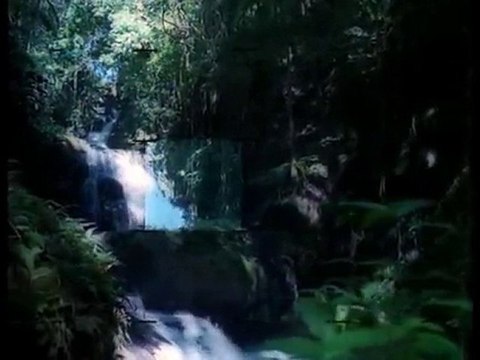 Takako Uehara - My First Love