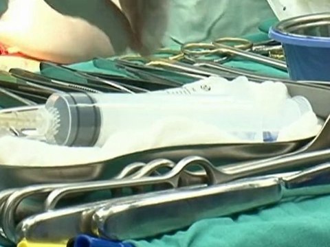 PRO BG Писмо до премиера Борисов - 07.01.2010 г.